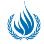 OHCHR Indigenous Fellowship Program