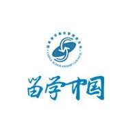 Harbin Institute of Technology CSC Scholarship 2025-26 in China